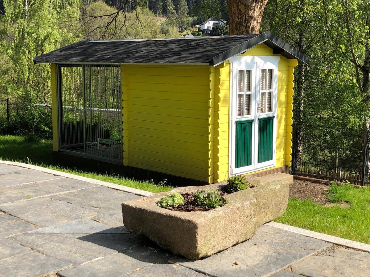 Ferienhaus Sandy Bad Elster Zewnętrze zdjęcie